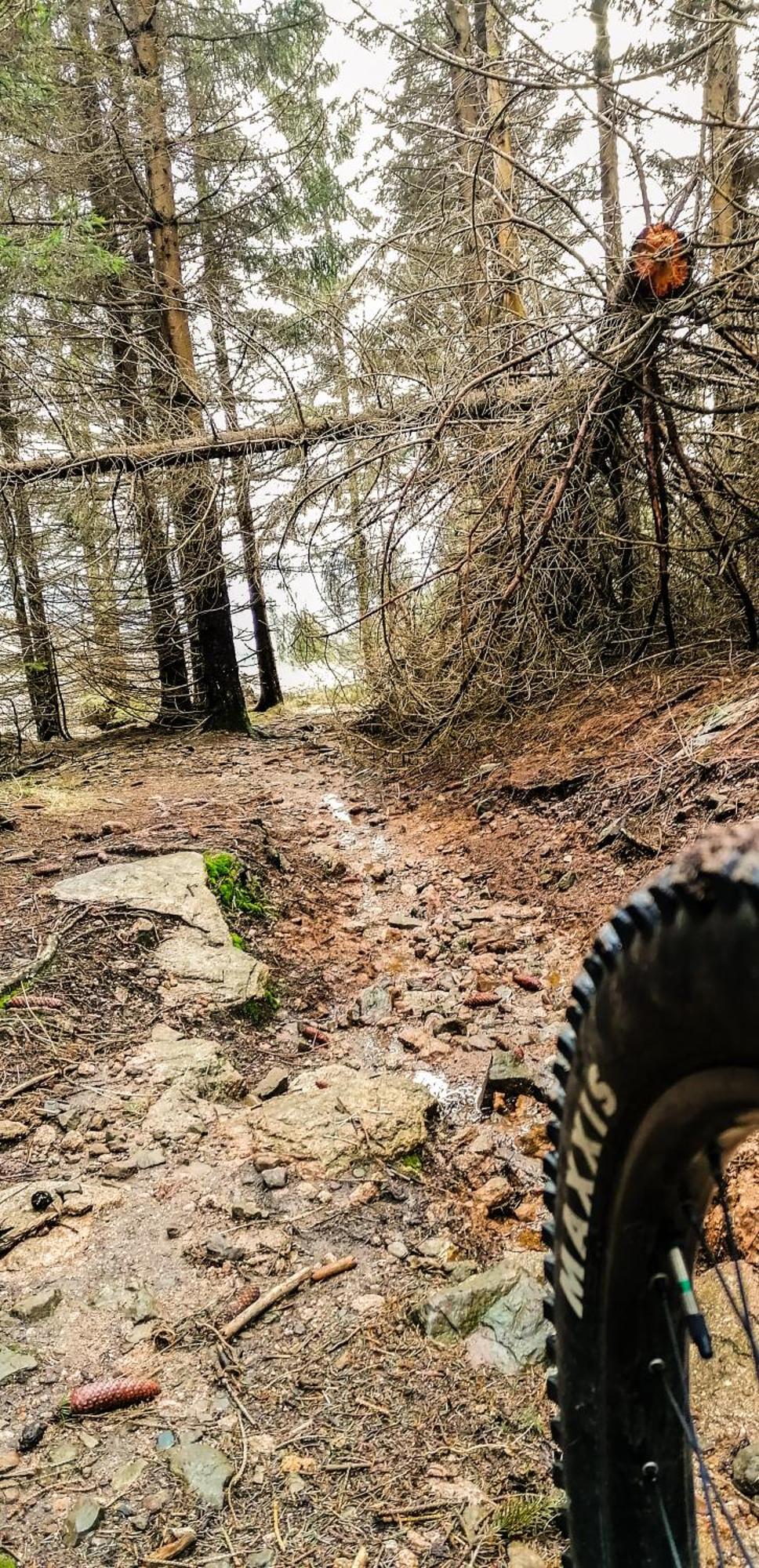 Harzbeat Braunlage