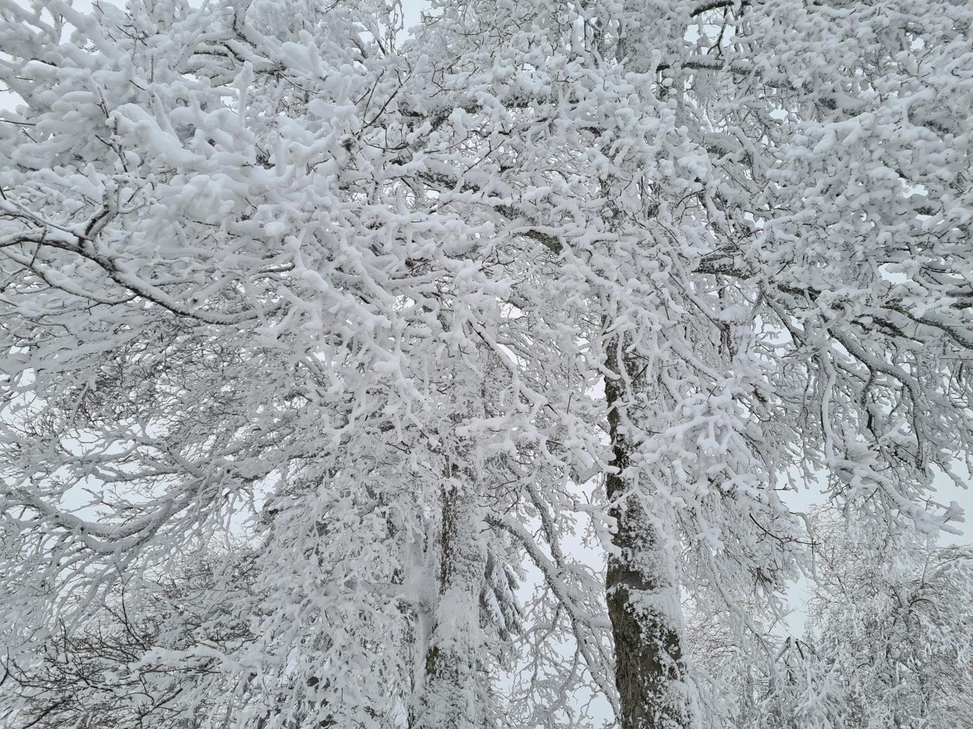 Harzbeat Braunlage